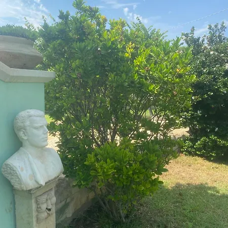 Mare Isola * Carrozziere Fonte Ciane