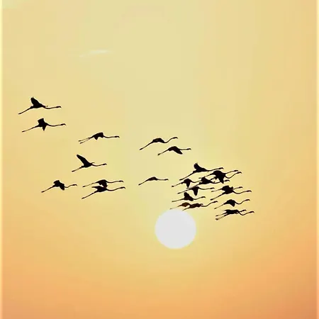 Daire Mare Isola Carrozziere Fonte Ciane