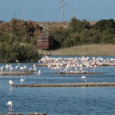 Mare Isola *